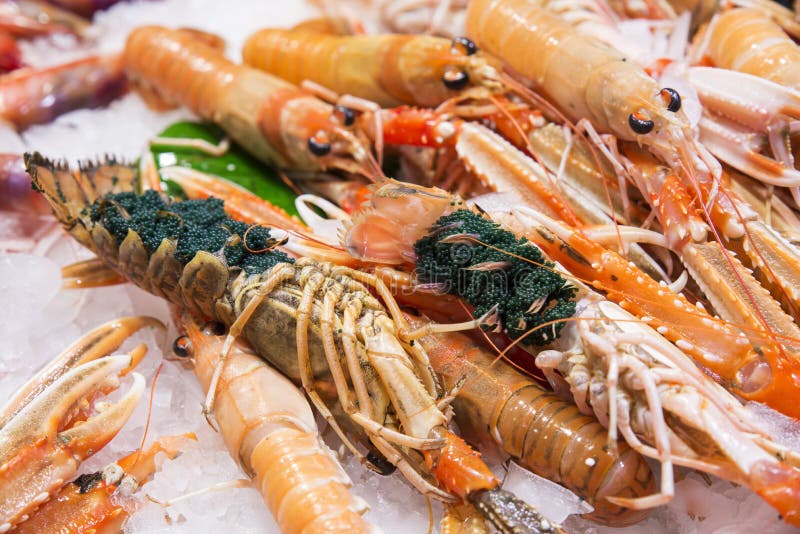 Fresh lobsters with eggs stock image. Image of crayfish 45518649