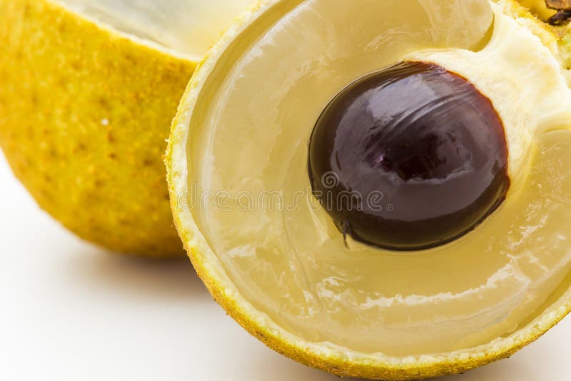 Fresh longan. stock photo