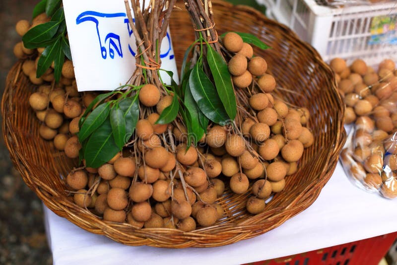 Fresh longan stock image. Image of fruit, green, leaf 57978489