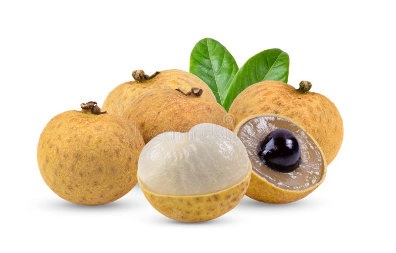 Can Dogs Eat Dragon Eye Fruit