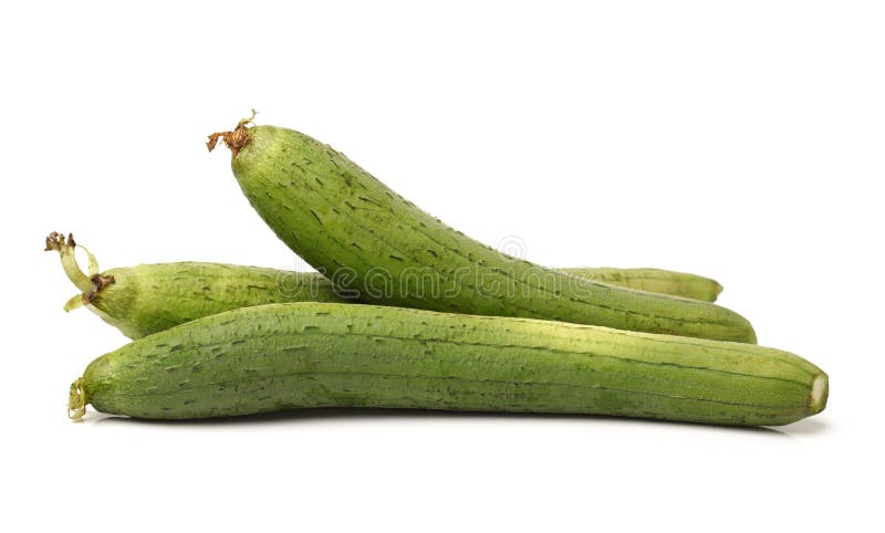 Fresh loofah on the white background