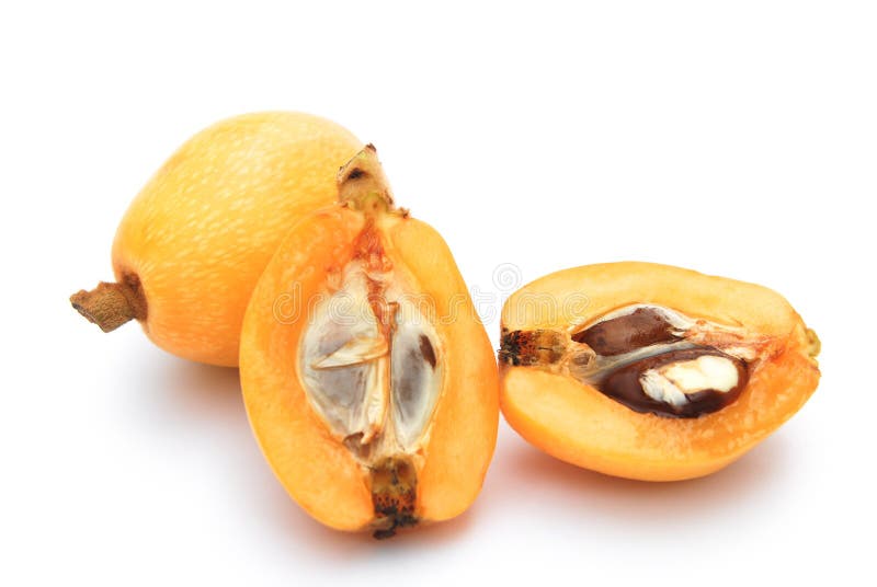 Fresh loquat fruit stock image. Image of healthy, tasty 14500419