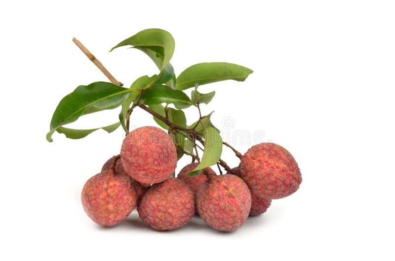 Fresh lychees isolated
