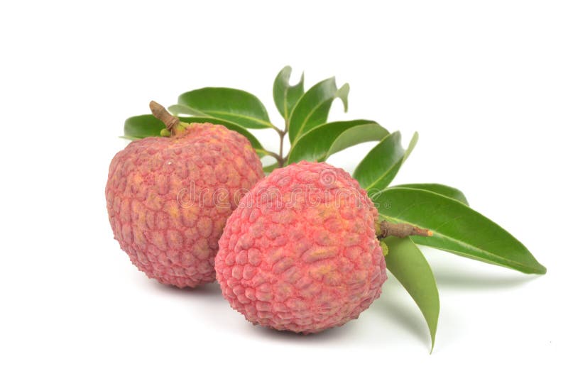 Fresh lychees isolated