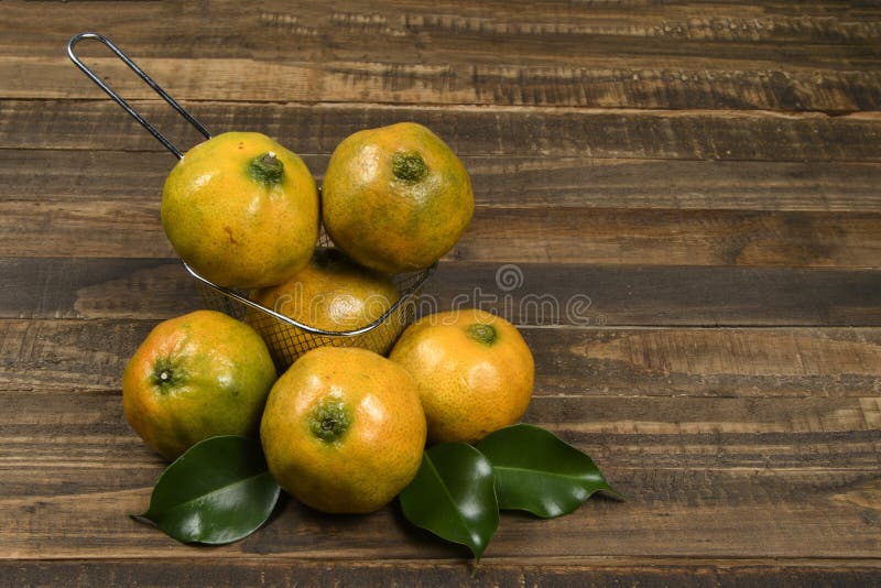 Fresh mandarin oranges royalty free stock images