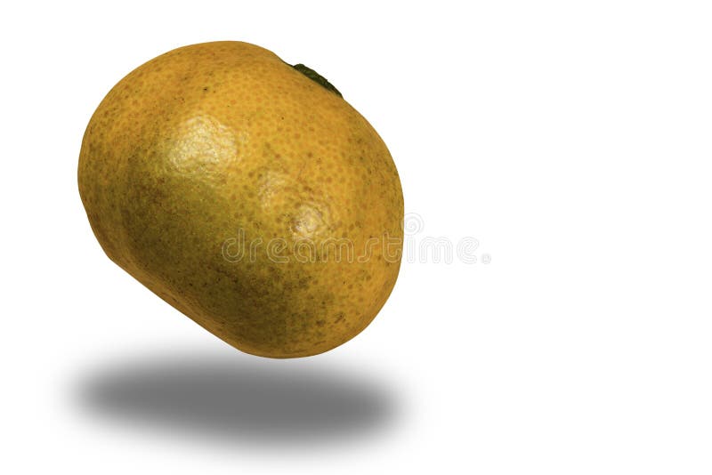 Fresh mandarin oranges stock photography