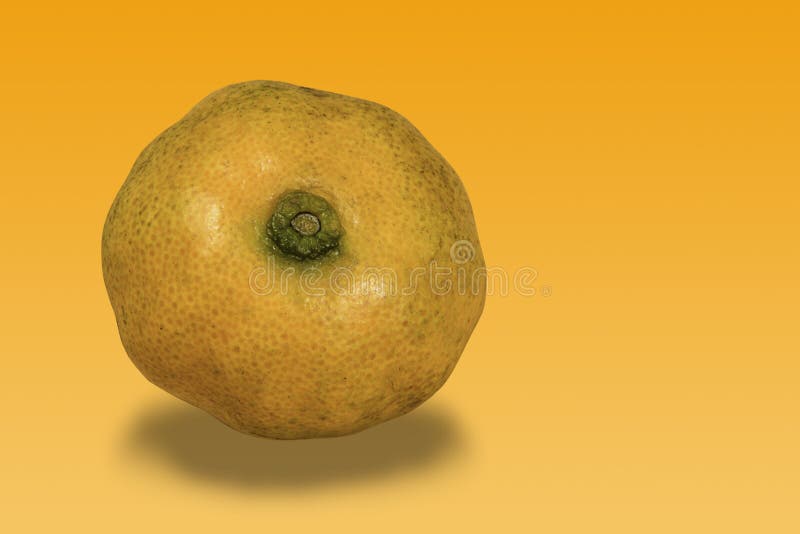 Fresh mandarin oranges royalty free stock photo