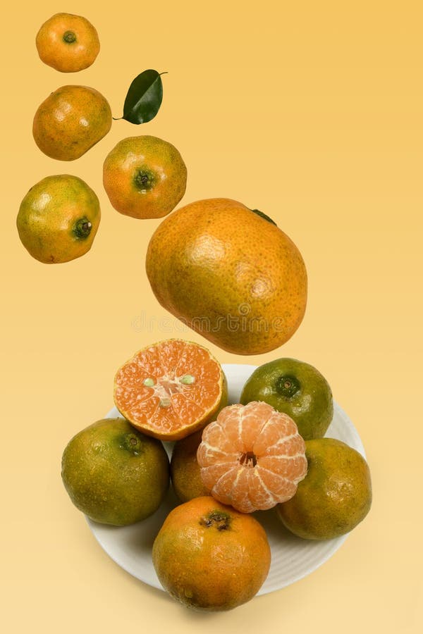 Fresh mandarin oranges stock photography