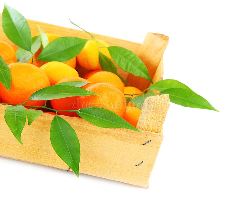 Fresh mandarins