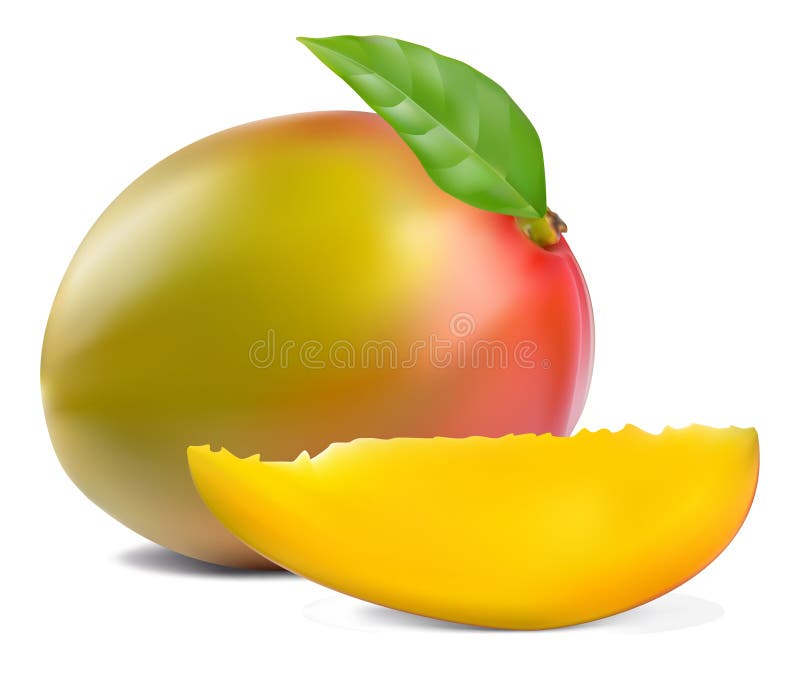Fresh mango vector illustration