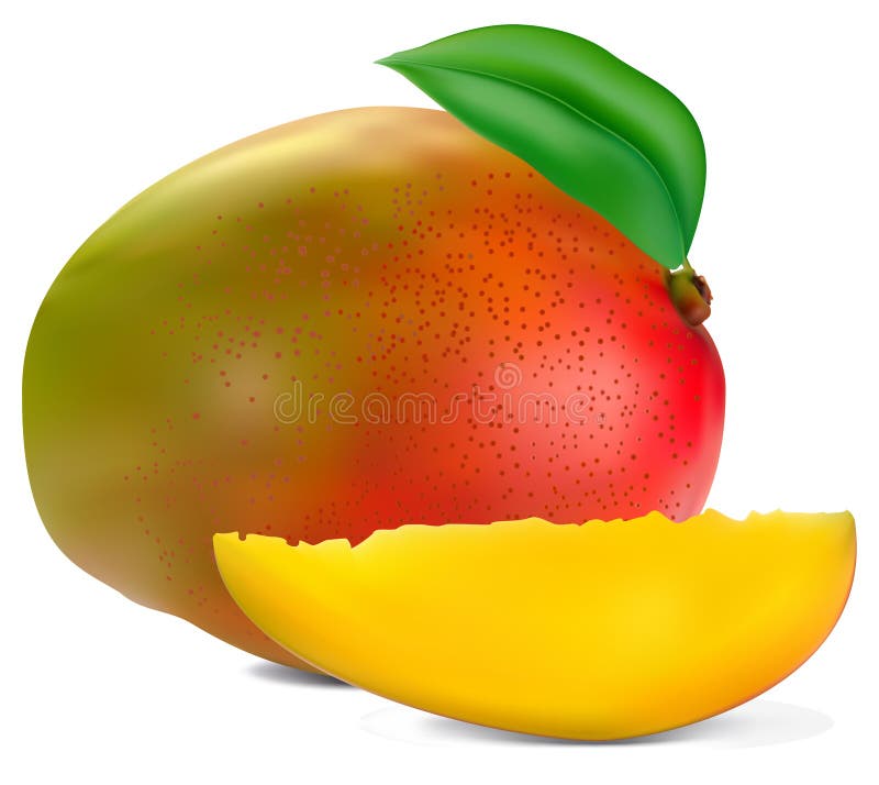 Fresh mango vector illustration