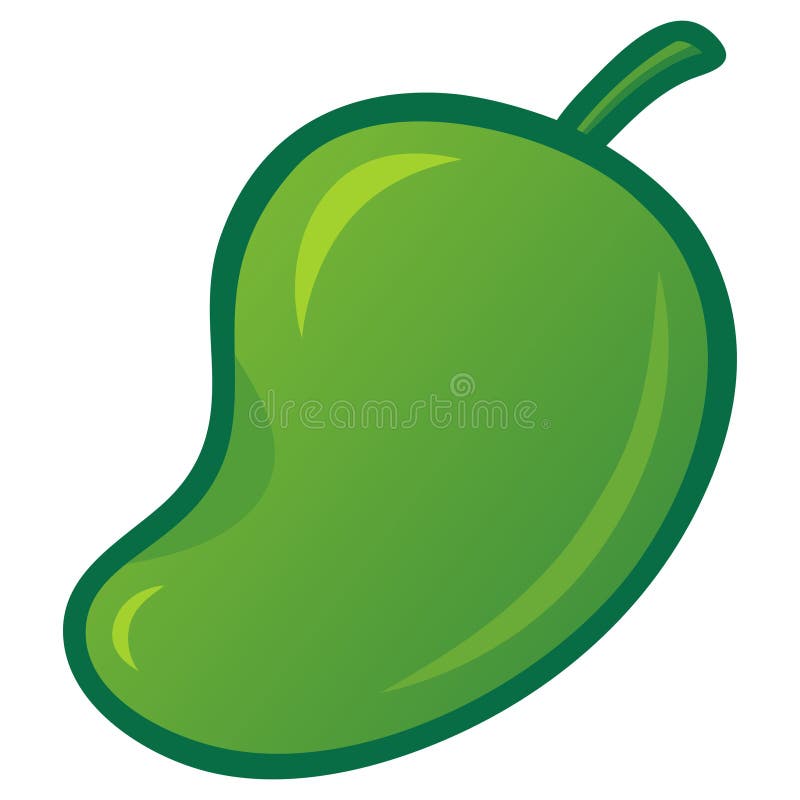Fresh Mango Fruit Drawing Cartoon Illustration stock illustration