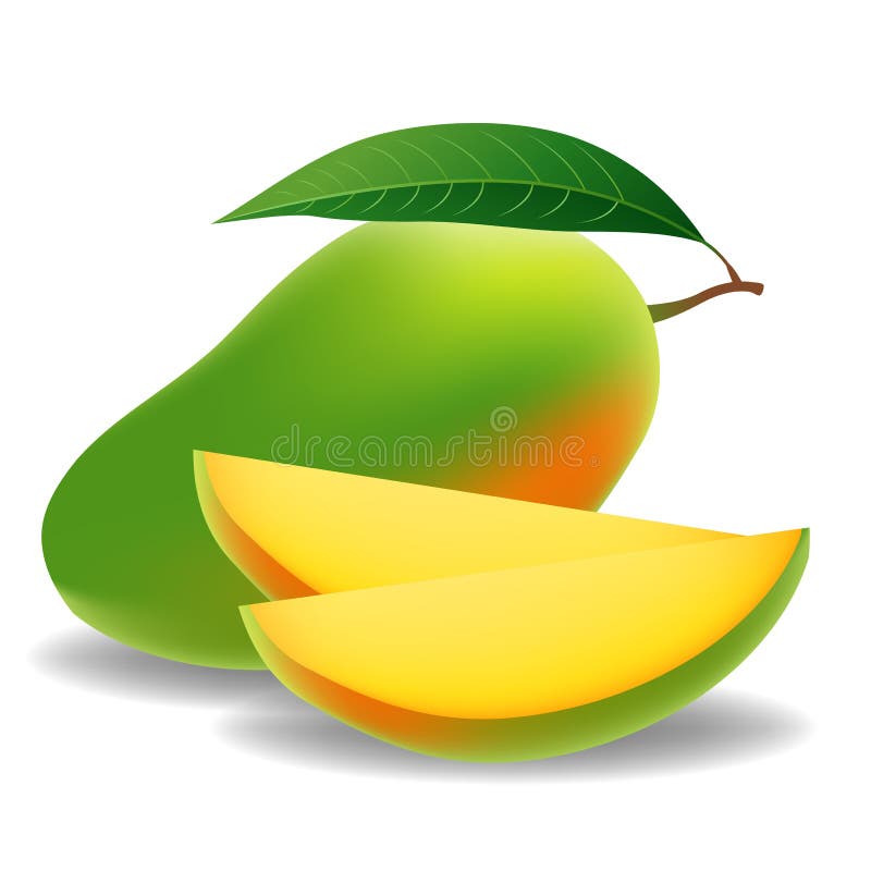 Fresh Mango with slice royalty free illustration