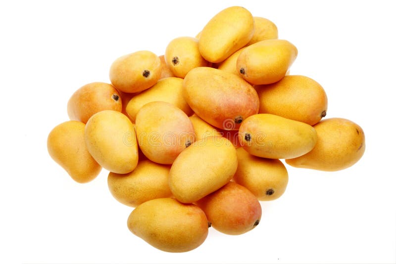 Fresh mangoes