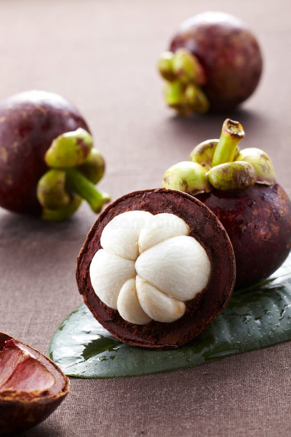 Fresh mangosteen fruit stock image. Image of flavor, studio 41321427