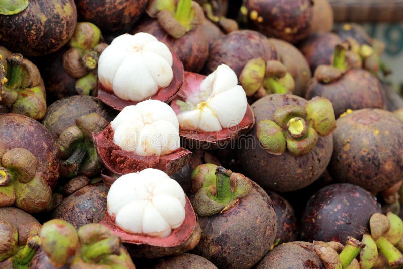 Fresh Mangosteen in the Market Stock Image Image of fruit, dessert
