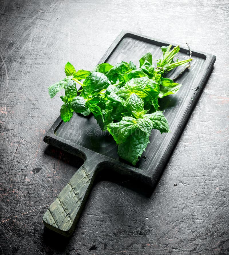 Fresh Mint on the Cutting Board Stock Image Image of garden, medicine