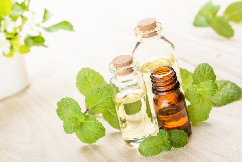 Fresh mint essential oil stock image. Image of leaf, bottle 70243039