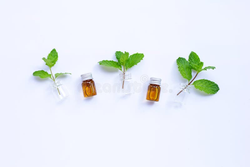 Fresh Mint Leaves with Essential Oil Bottle on White Background Stock