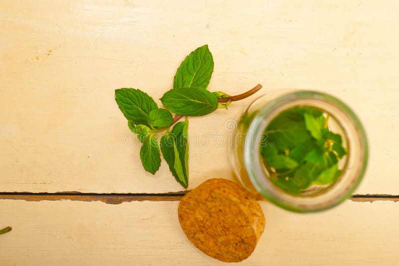 Fresh Mint Leaves on a Glass Jar Stock Image Image of mentha