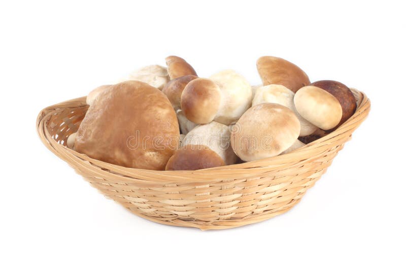 Fresh mushrooms