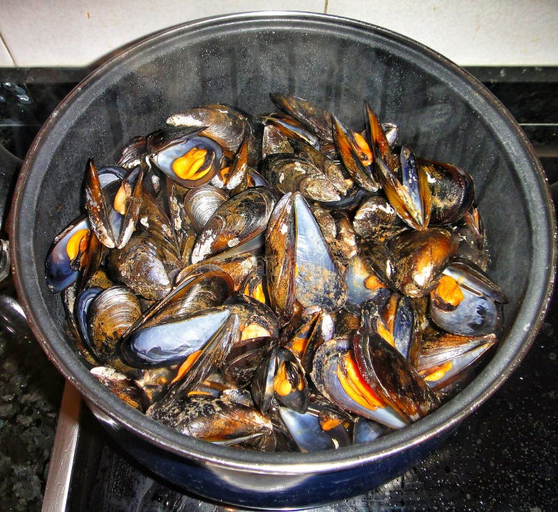 Fresh mussels stock photo. Image of boiled, lemon, fresh 56593872