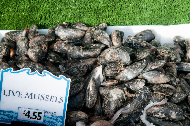 whiskey Responsible person Controversy Fresh Mussels, Live Mussels are for Sale at the Market Stock Image - Image  of ingredients, seafood: 87614889