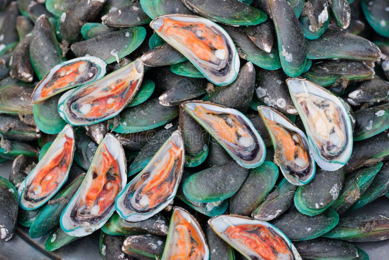 Fresh mussels at the street food, chonburi, Thailand royalty free stock image Fresh mussels at the street food, chonburi, Thailand royalty free stock image