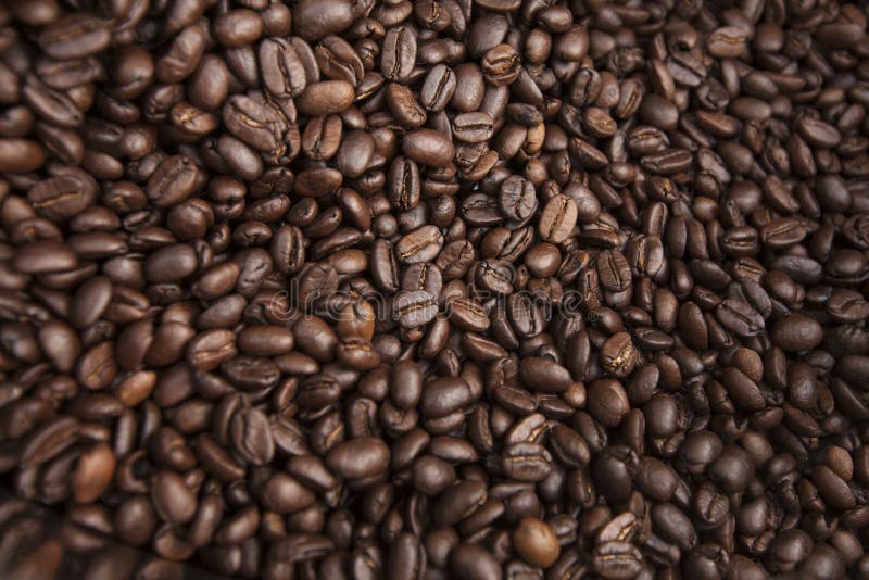 Fresh Natural Coffee Beans Texture Background Stock Image Image of