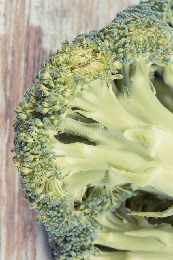 Fresh Natural Green Broccoli As Source Vitamins and Minerals Stock