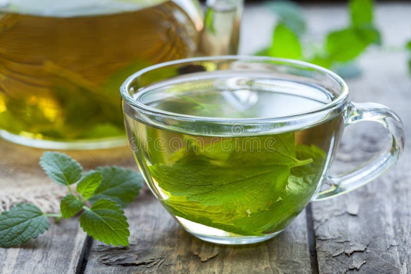 Fresh natural green melissa herbal tea in glass royalty free stock photo Fresh natural green melissa herbal tea in glass royalty free stock photo