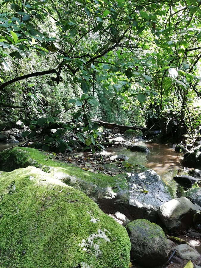 Nature Nature