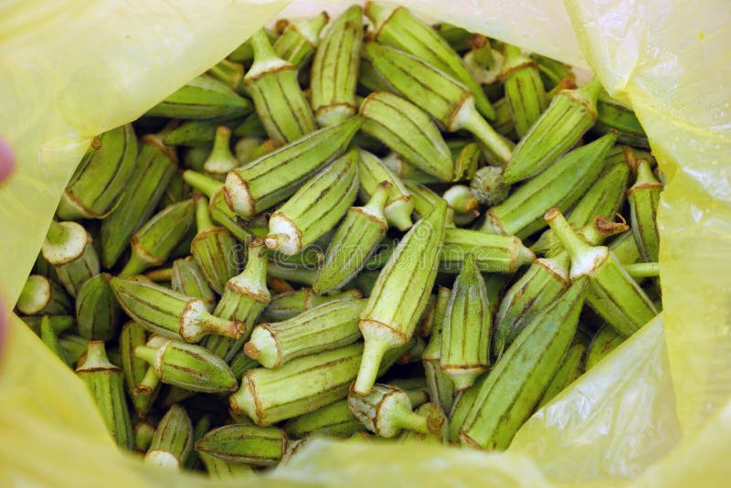 Fresh Okra for Cooking, Okra Plant in a Bag, Okra Grains Stock Photo