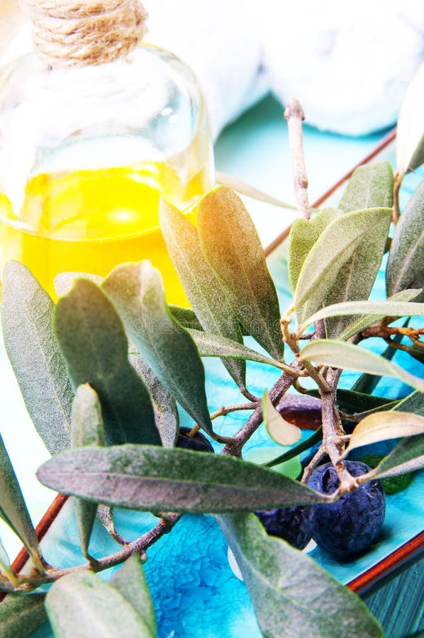 Fresh olive branch and oil stock image. Image of fruit 50130417