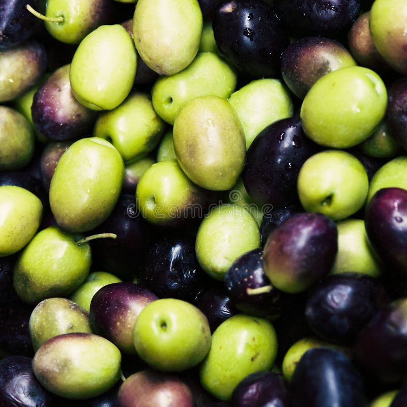 Fresh olives background stock image. Image of gastronomy 50698657