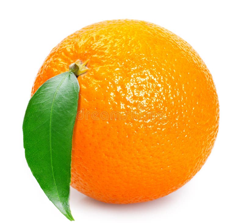 Fresh Orange Fruit on White Background Stock Photo Image of