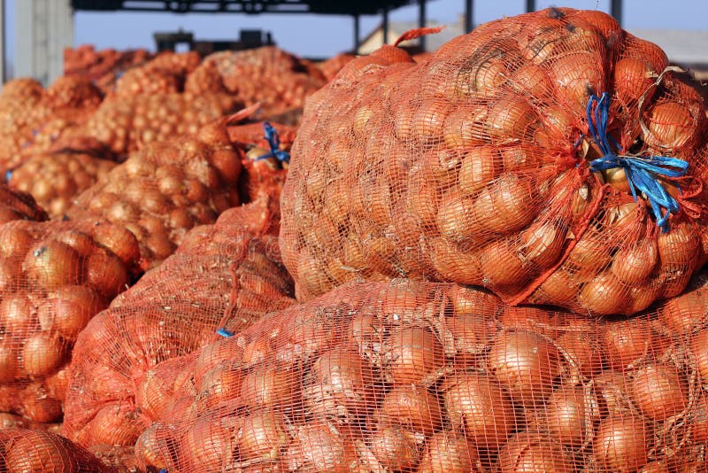 Fresh onions in package stock photo. Image of mesh, edible - 25055116