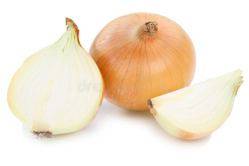 Fresh onions in package stock photo. Image of mesh, edible - 25055116