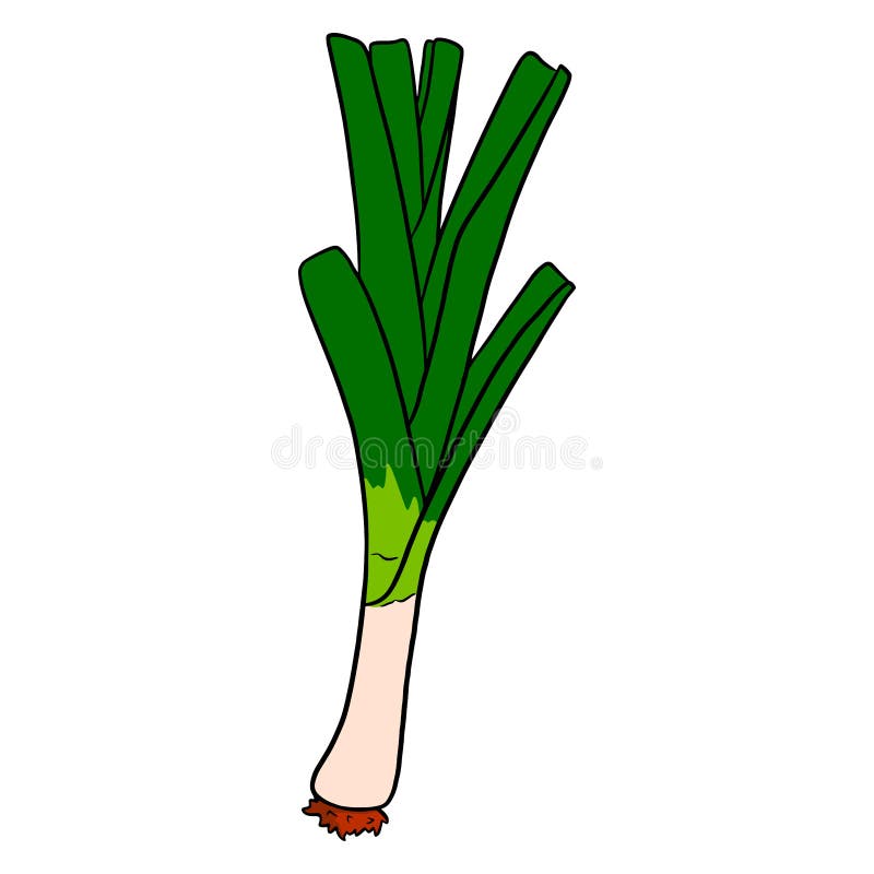 https://thumbs.dreamstime.com/b/fresh-onions-green-leek-ingredient-dishes-fresh-onions-green-leek-ingredient-dishes-cartoon-style-vector-illustration-232638641.jpg