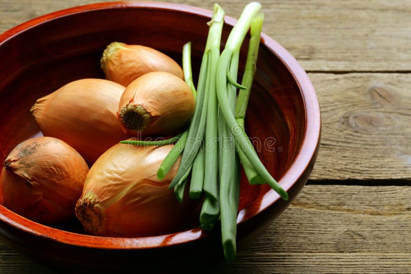 Fresh Onions Green and Shallot Stock Photo Image of shallot, vitamin