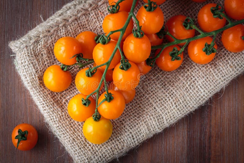 Fresh Orange Cherry Tomatoes Stock Image Image of fresh, ripe 76900751