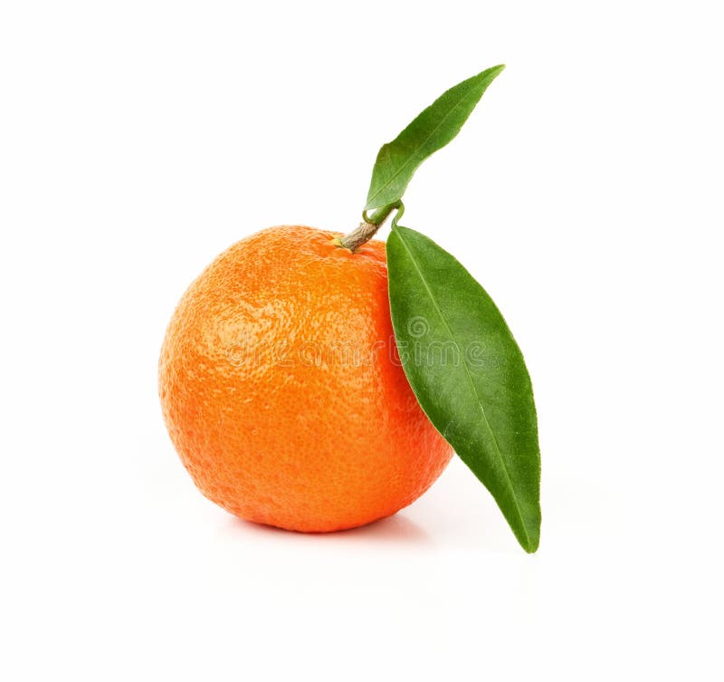 Fresh Orange Fruit with Green Leaf Stock Image Image of fruit