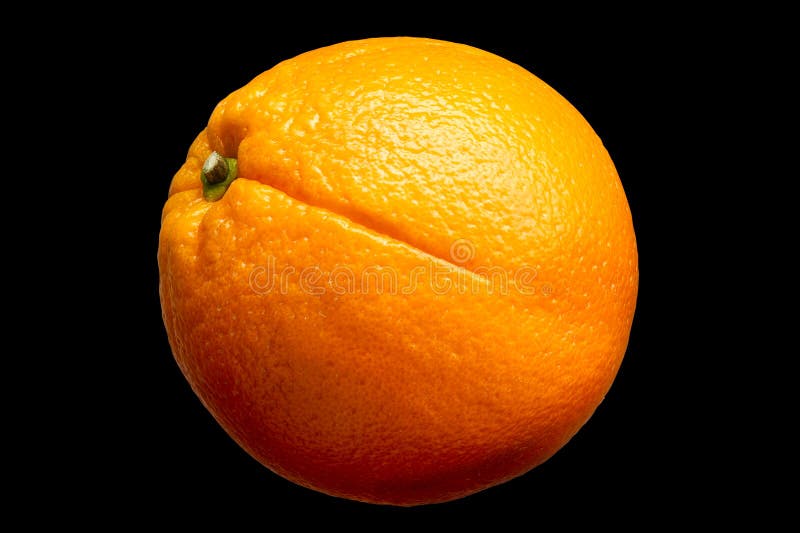 Fresh Orange Fruit Isolated on Black Background Stock Image Image of