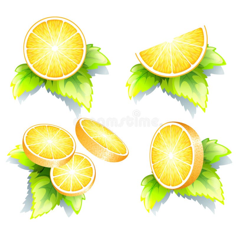 Organic food stock vector. Illustration of healthy, fruit - 29832760