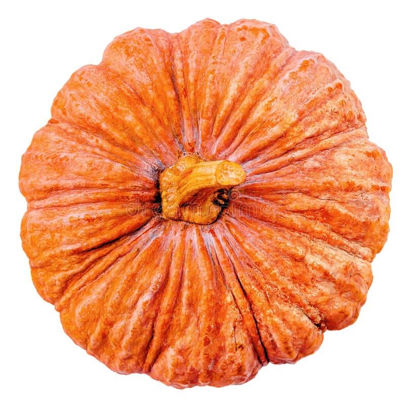 Fresh Orange Pumpkin Isolated on White Background, Top View Stock Image Image of closeup
