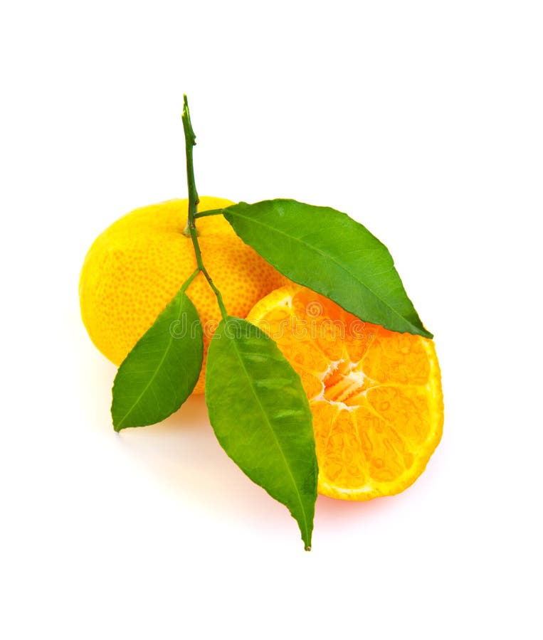 Fresh oranges stock photo. Image of nutrition, leaf, isolated 24095546