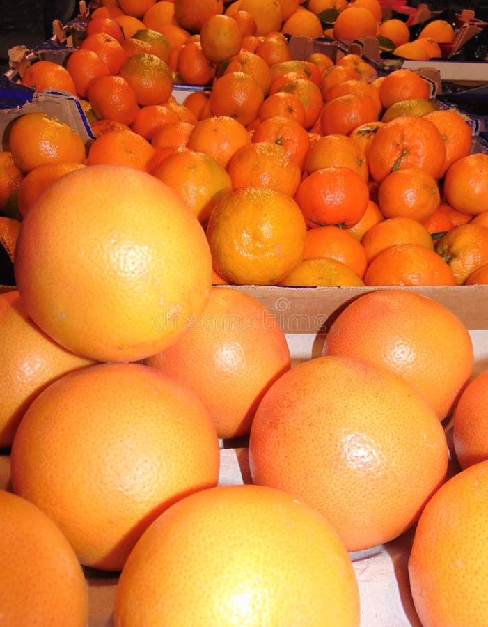 https://thumbs.dreamstime.com/b/fresh-oranges-tangerines-sale-market-citrus-fruits-ripe-oranges-tangerines-farmers-italian-market-164502491.jpg
