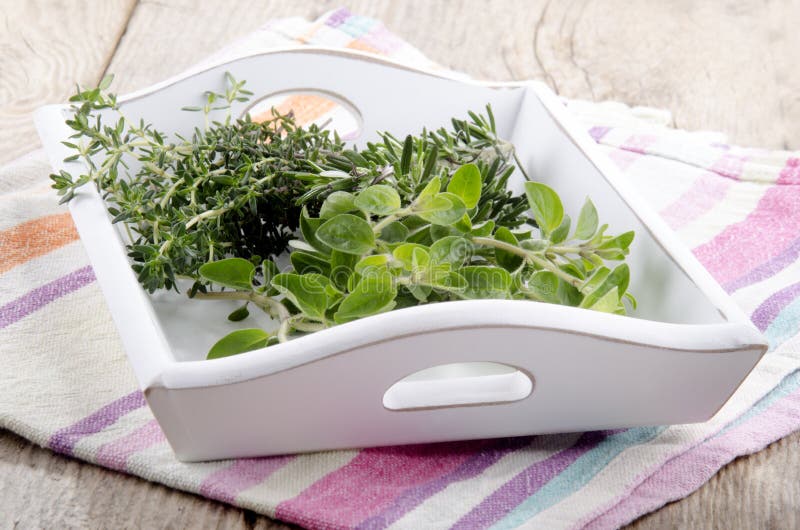 Fresh Oregano, Thyme and Rosemary Stock Image Image of herb, bunch