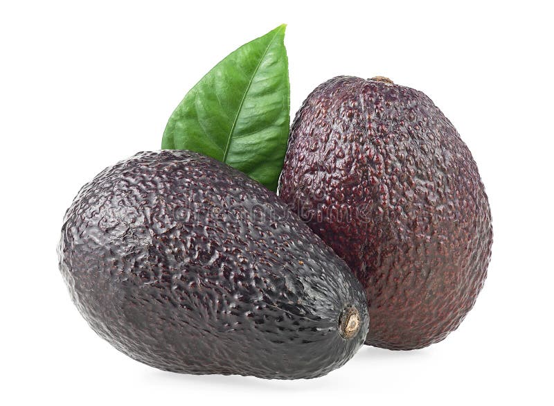 Fresh Organic Avocado with Green Leaf Isolated on White Background