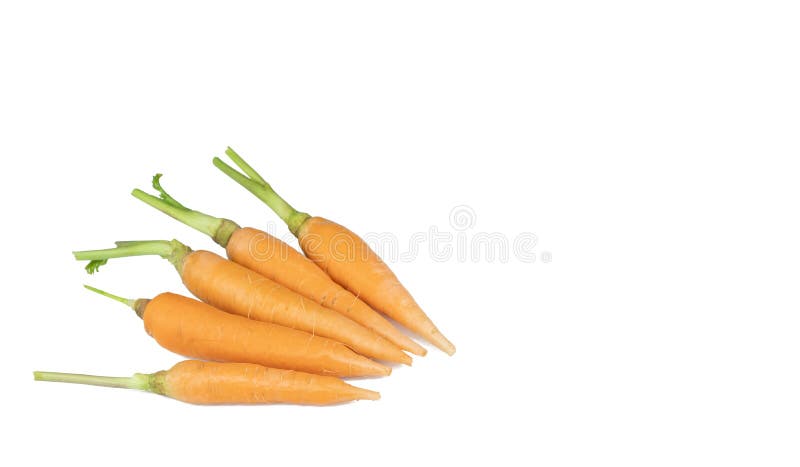 Download 2 812 Baby Carrots White Background Photos Free Royalty Free Stock Photos From Dreamstime Yellowimages Mockups